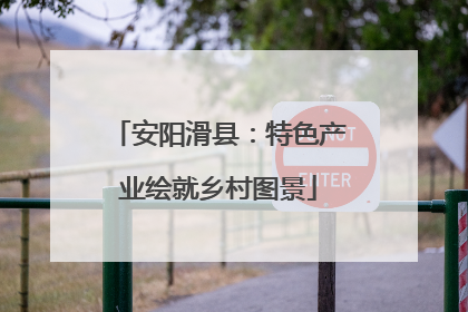 安阳滑县：特色产业绘就乡村图景