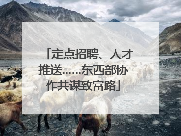 定点招聘、人才推送……东西部协作共谋致富路