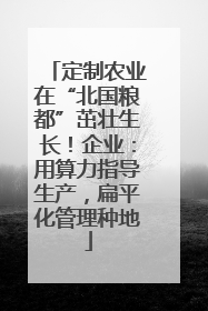 定制农业在“北国粮都”茁壮生长！企业：用算力指导生产，扁平化管理种地
