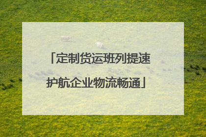 定制货运班列提速 护航企业物流畅通