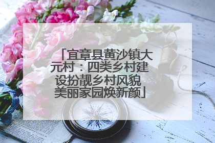宜章县黄沙镇大元村：四类乡村建设扮靓乡村风貌 美丽家园焕新颜