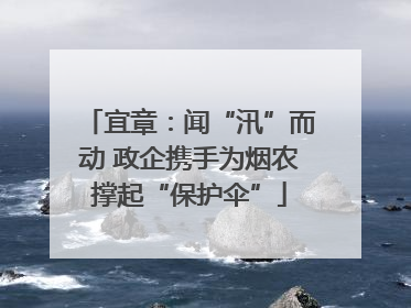 宜章：闻“汛”而动 政企携手为烟农撑起“保护伞”