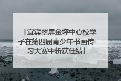 宜宾翠屏金坪中心校学子在第四届青少年书画传习大赛中斩获佳绩