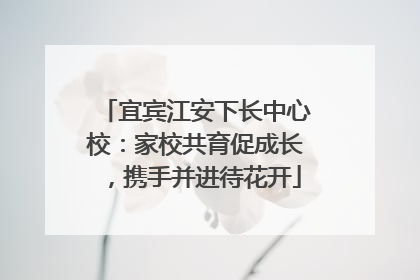宜宾江安下长中心校：家校共育促成长，携手并进待花开