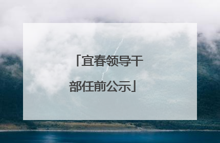 宜春领导干部任前公示