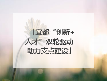 宜都“创新+人才”双轮驱动助力支点建设