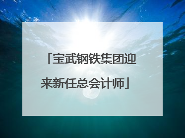 宝武钢铁集团迎来新任总会计师