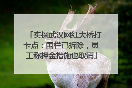 实探武汉网红大桥打卡点：围栏已拆除，员工称押金措施也取消