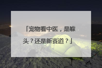 宠物看中医，是噱头？还是新赛道？