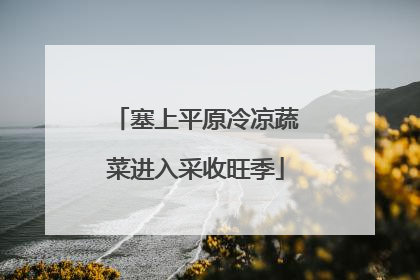 塞上平原冷凉蔬菜进入采收旺季