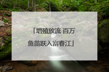增殖放流 百万鱼苗跃入富春江