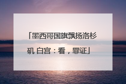 墨西哥国旗飘扬洛杉矶 白宫：看，罪证