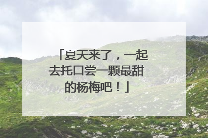 夏天来了，一起去托口尝一颗最甜的杨梅吧！
