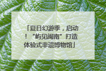 夏日幻游季，启动！“屿见闽南”打造体验式非遗博物馆