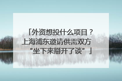 外资想投什么项目？上海浦东邀请供需双方“坐下来掰开了谈”