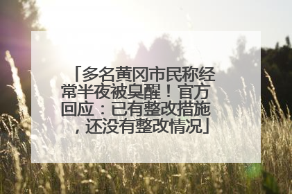 多名黄冈市民称经常半夜被臭醒！官方回应：已有整改措施，还没有整改情况
