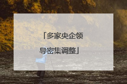 多家央企领导密集调整