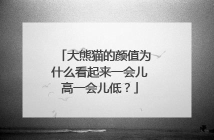 大熊猫的颜值为什么看起来一会儿高一会儿低？