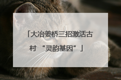 大冶姜桥三招激活古村 “灵韵基因”