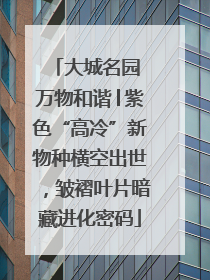 大城名园 万物和谐│紫色“高冷”新物种横空出世，皱褶叶片暗藏进化密码