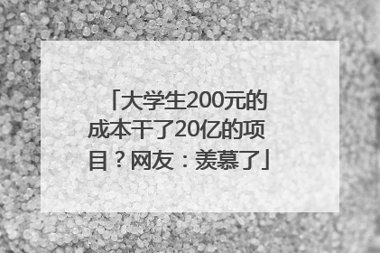 大学生200元的成本干了20亿的项目？网友：羡慕了