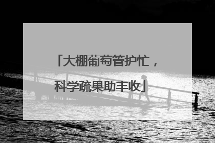 大棚葡萄管护忙，科学疏果助丰收