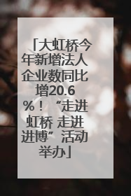 大虹桥今年新增法人企业数同比增20.6%！“走进虹桥 走进进博”活动举办