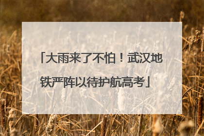 大雨来了不怕！武汉地铁严阵以待护航高考
