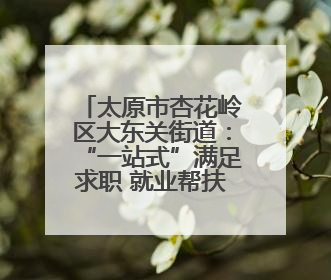 太原市杏花岭区大东关街道：“一站式”满足求职 就业帮扶在行动