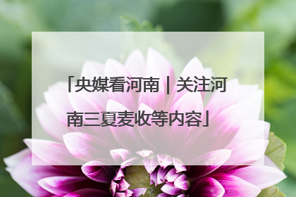 央媒看河南｜关注河南三夏麦收等内容