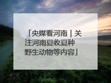 央媒看河南｜关注河南夏收夏种 野生动物等内容