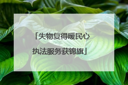失物复得暖民心 执法服务获锦旗