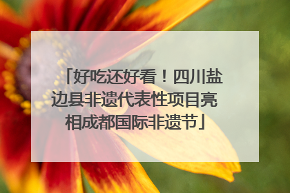 好吃还好看！四川盐边县非遗代表性项目亮相成都国际非遗节