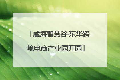 威海智慧谷·东华跨境电商产业园开园