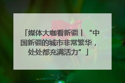 媒体大咖看新疆丨“中国新疆的城市非常繁华，处处都充满活力”