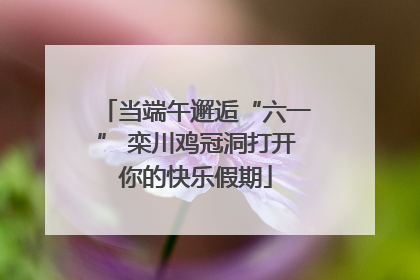 当端午邂逅“六一” 栾川鸡冠洞打开你的快乐假期