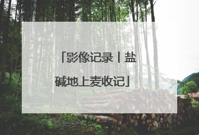 影像记录丨盐碱地上麦收记