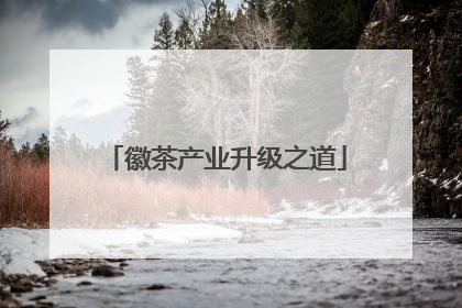 徽茶产业升级之道