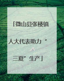 微山县张楼镇人大代表助力“三夏”生产
