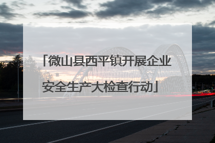 微山县西平镇开展企业安全生产大检查行动
