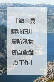 微山县驩城镇开展防汛物资自查盘点工作