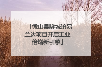 微山县驩城镇易兰达项目开启工业倍增新引擎