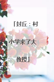 封丘：村小学来了大教授