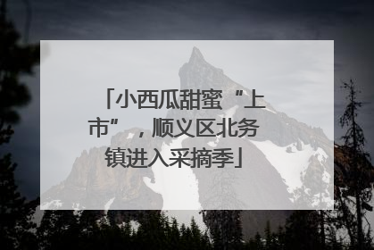 小西瓜甜蜜“上市”，顺义区北务镇进入采摘季