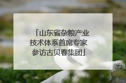 山东省杂粮产业技术体系首席专家参访古贝春集团