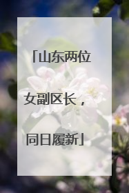山东两位女副区长，同日履新