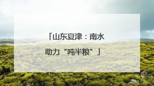 山东夏津：南水助力“吨半粮”