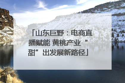 山东巨野：电商直播赋能 黄桃产业“甜”出发展新路径