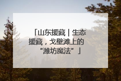 山东援藏｜生态援藏，戈壁滩上的“潍坊魔法”