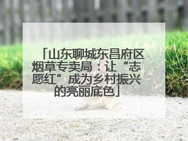 山东聊城东昌府区烟草专卖局：让“志愿红”成为乡村振兴的亮丽底色